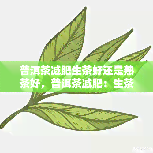 普洱茶减肥生茶好还是熟茶好，普洱茶减肥：生茶与熟茶哪个效果更好？