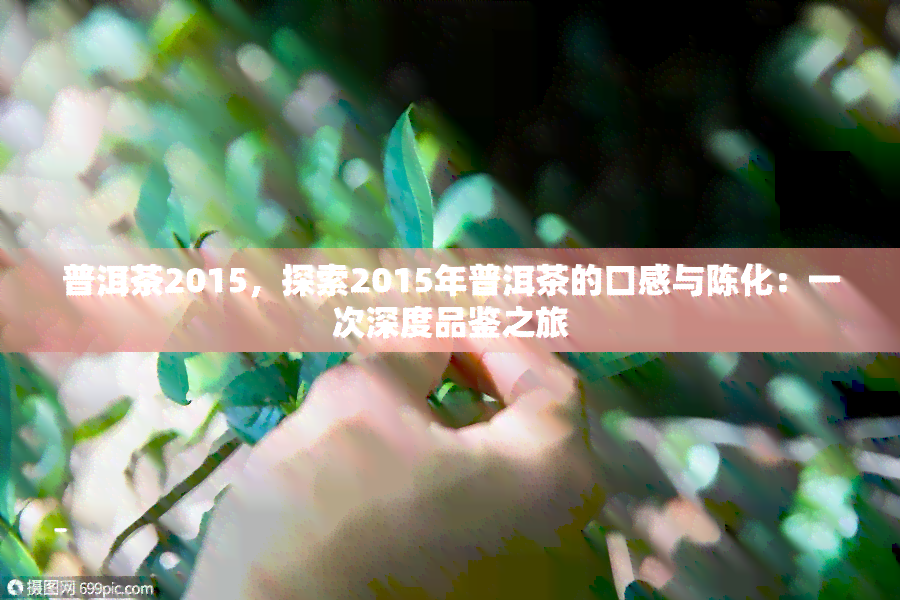 普洱茶2015，探索2015年普洱茶的口感与陈化：一次深度品鉴之旅