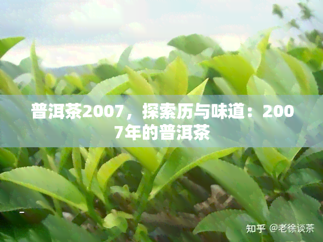 普洱茶2007，探索历与味道：2007年的普洱茶