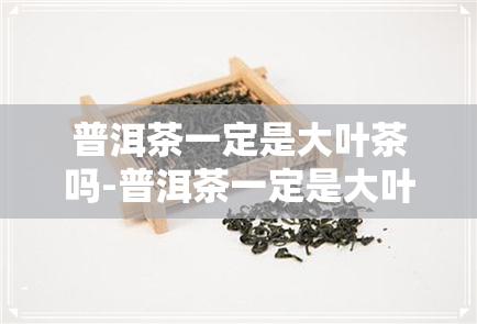 普洱茶一定是大叶茶吗-普洱茶一定是大叶茶吗为什么