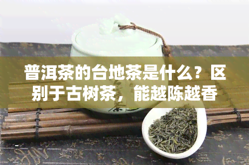 普洱茶的台地茶是什么？区别于古树茶，能越陈越香吗？一无是处还是有其价值？