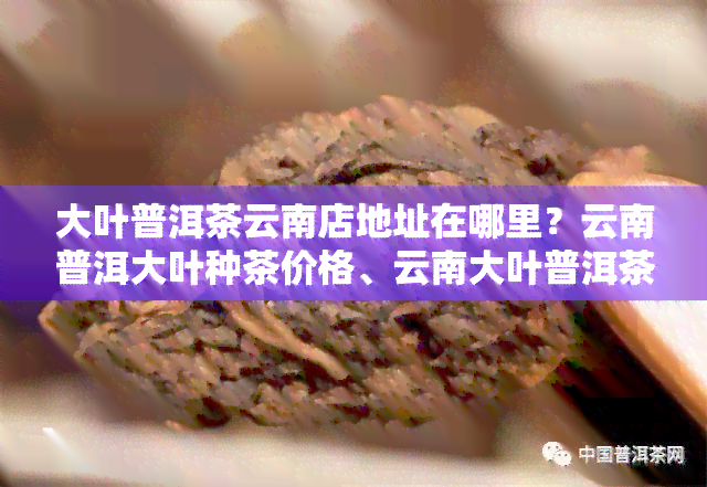 大叶普洱茶云南店地址在哪里？云南普洱大叶种茶价格、云南大叶普洱茶饼0652及大叶牌普洱茶详情一网打尽！