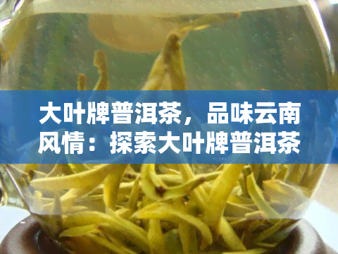 大叶牌普洱茶，品味云南风情：探索大叶牌普洱茶的魅力