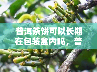 普洱茶饼可以长期在包装盒内吗，普洱茶饼的存方式：可以在包装盒内长期保存吗？