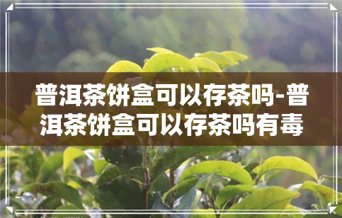 普洱茶饼盒可以存茶吗-普洱茶饼盒可以存茶吗有吗