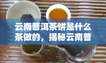 云南普洱茶饼是什么茶做的，揭秘云南普洱茶饼：它是由什么茶叶制成的？