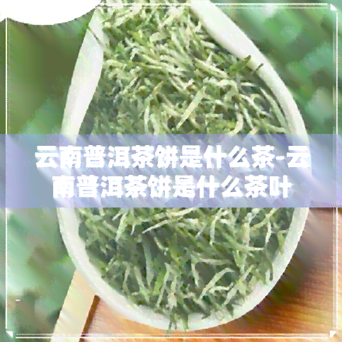 云南普洱茶饼是什么茶-云南普洱茶饼是什么茶叶