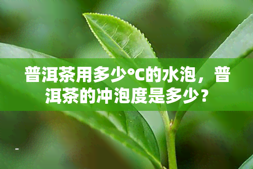 普洱茶用多少℃的水泡，普洱茶的冲泡度是多少？