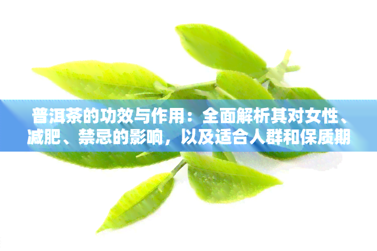 普洱茶的功效与作用：全面解析其对女性、减肥、禁忌的影响，以及适合人群和保质期