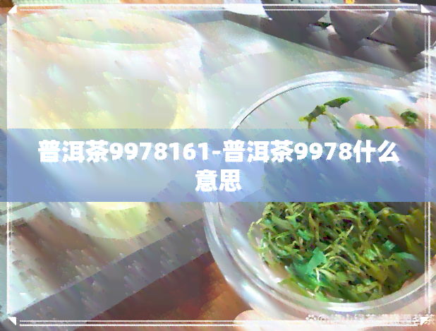 普洱茶9978161-普洱茶9978什么意思