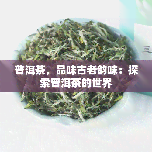 普洱茶，品味古老韵味：探索普洱茶的世界