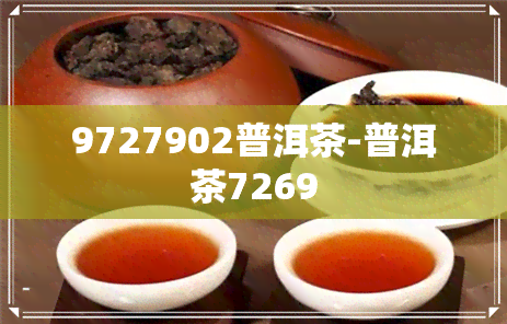 9727902普洱茶-普洱茶7269