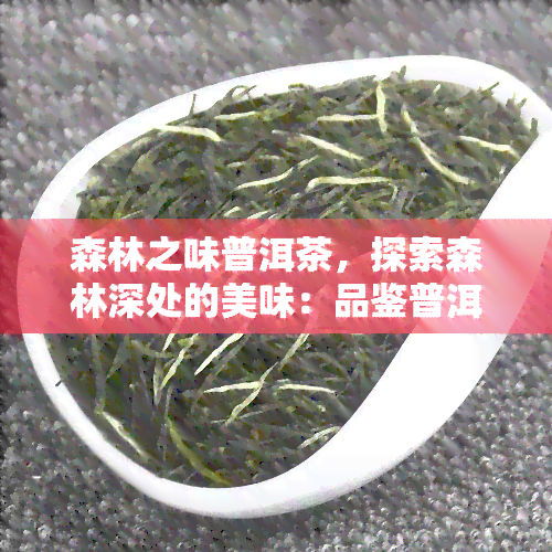 森林之味普洱茶，探索森林深处的美味：品鉴普洱茶的‘森林之味’