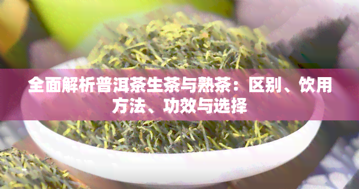 全面解析普洱茶生茶与熟茶：区别、饮用方法、功效与选择