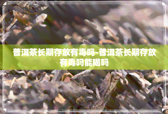 普洱茶长期存放有吗-普洱茶长期存放有吗能喝吗