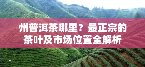 州普洱茶哪里？最正宗的茶叶及市场位置全解析