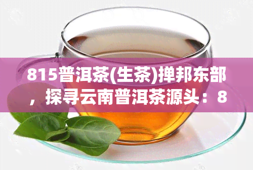 815普洱茶(生茶)掸邦东部，探寻云南普洱茶源头：815普洱茶（生茶）掸邦东部之旅