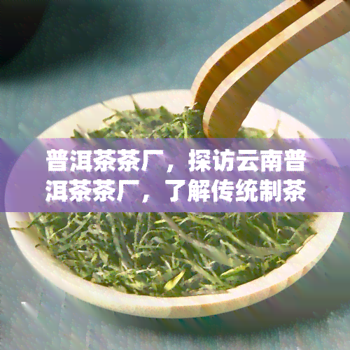 普洱茶茶厂，探访云南普洱茶茶厂，了解传统制茶工艺与历文化