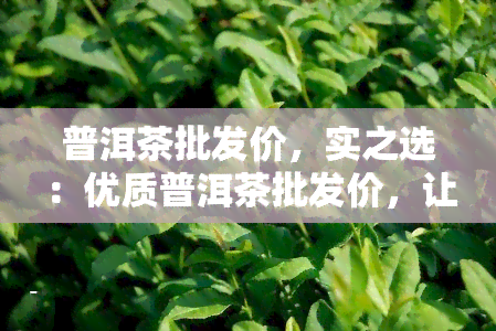 普洱茶批发价，实之选：优质普洱茶批发价，让您省钱又享受好茶！