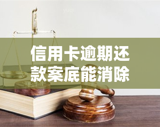 信用卡逾期还款案底能消除吗，信用卡逾期还款留下案底，如何消除？