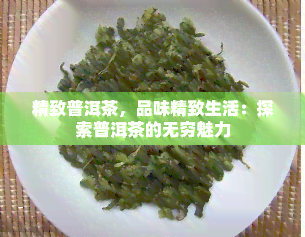 精致普洱茶，品味精致生活：探索普洱茶的无穷魅力