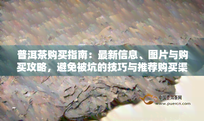 普洱茶购买指南：最新信息、图片与购买攻略，避免被坑的技巧与推荐购买渠道