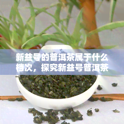 新益号的普洱茶属于什么档次，探究新益号普洱茶的档次，品味高端茶叶的魅力