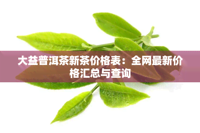 大益普洱茶新茶价格表：全网最新价格汇总与查询