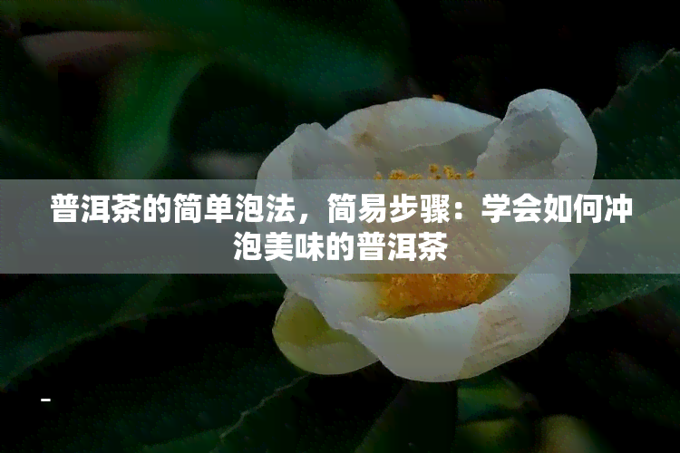 普洱茶的简单泡法，简易步骤：学会如何冲泡美味的普洱茶