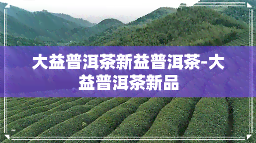 大益普洱茶新益普洱茶-大益普洱茶新品