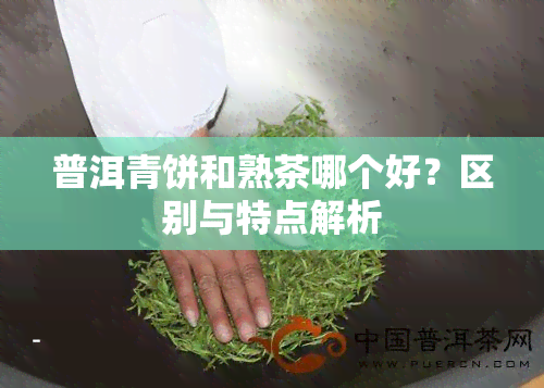 普洱青饼和熟茶哪个好？区别与特点解析