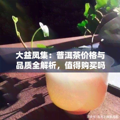 大益凤集：普洱茶价格与品质全解析，值得购买吗？