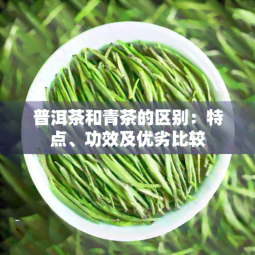 普洱茶和青茶的区别：特点、功效及优劣比较