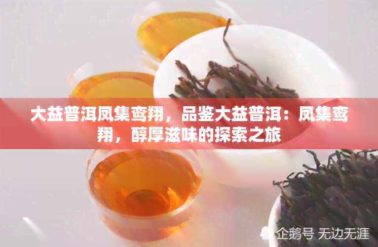 大益普洱凤集鸾翔，品鉴大益普洱：凤集鸾翔，醇厚滋味的探索之旅