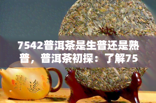 7542普洱茶是生普还是熟普，普洱茶初探：了解7542普洱茶，它是生普还是熟普？