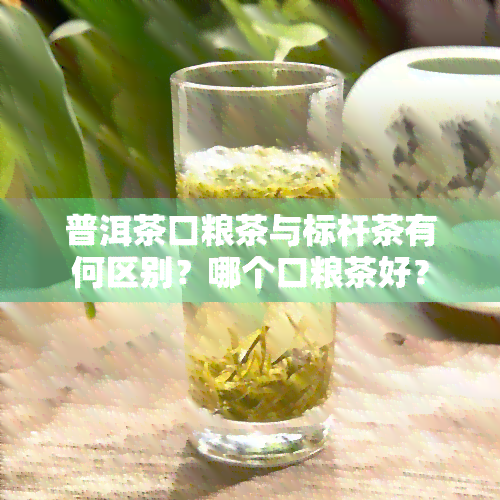 普洱茶口粮茶与标杆茶有何区别？哪个口粮茶好？