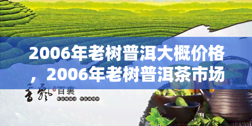 2006年老树普洱大概价格，2006年老树普洱茶市场价格概览