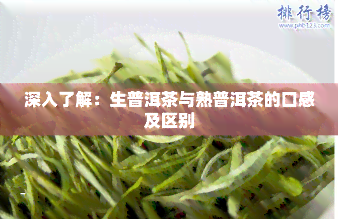 深入了解：生普洱茶与熟普洱茶的口感及区别