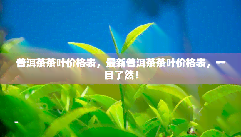 普洱茶茶叶价格表，最新普洱茶茶叶价格表，一目了然！