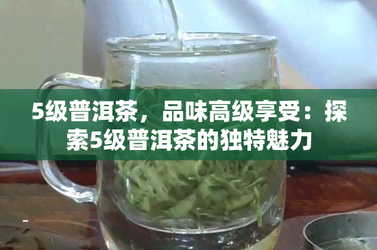 5级普洱茶，品味高级享受：探索5级普洱茶的独特魅力