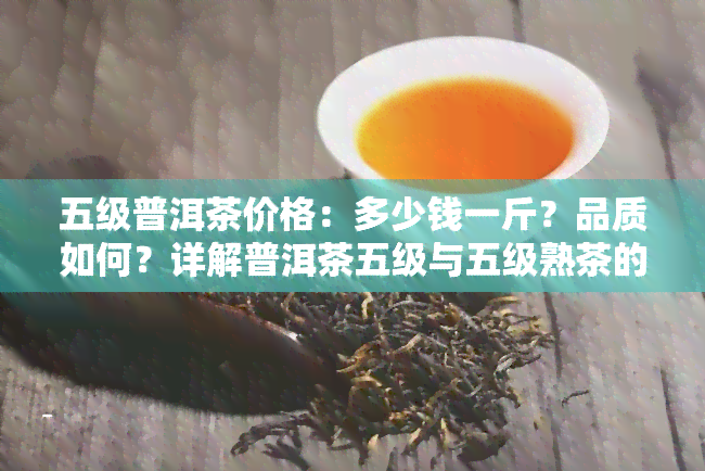 五级普洱茶价格：多少钱一斤？品质如何？详解普洱茶五级与五级熟茶的区别