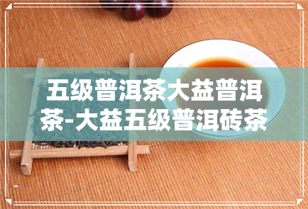 五级普洱茶大益普洱茶-大益五级普洱砖茶怎么样