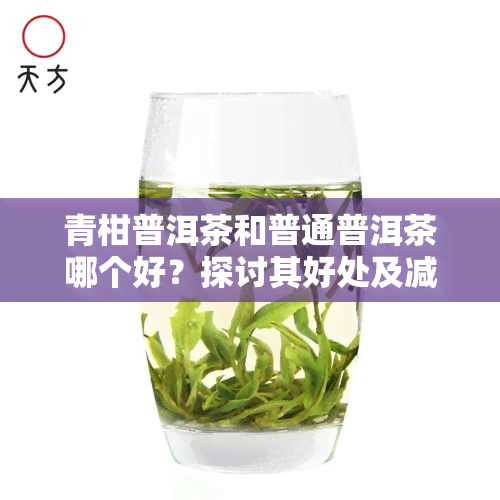 青柑普洱茶和普通普洱茶哪个好？探讨其好处及减肥效果