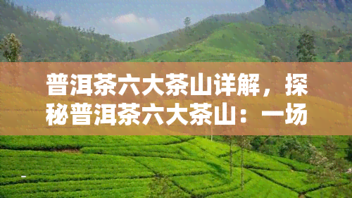 普洱茶六大茶山详解，探秘普洱茶六大茶山：一场深度的味蕾之旅