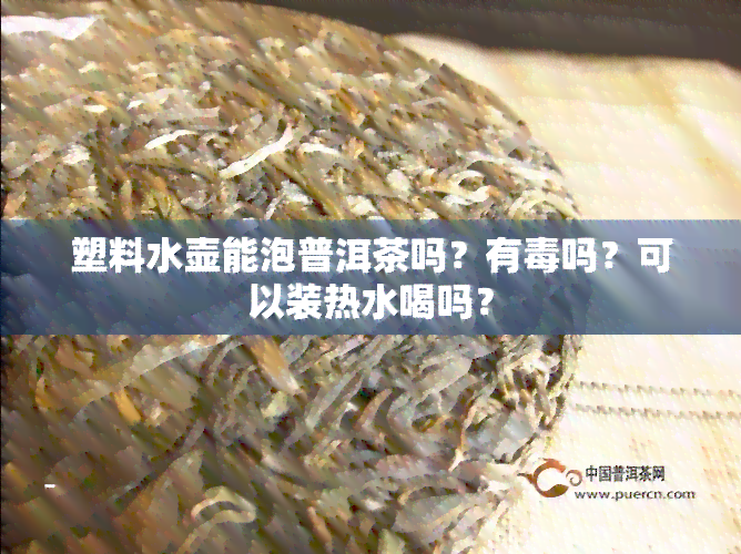 塑料水壶能泡普洱茶吗？有吗？可以装热水喝吗？