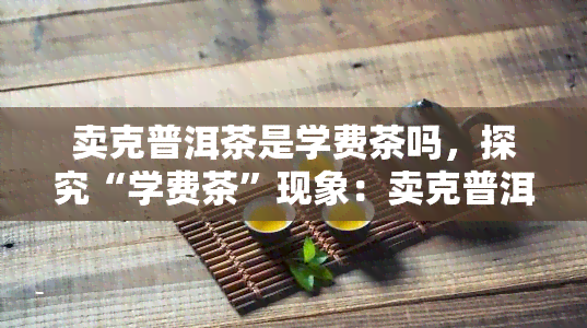 卖克普洱茶是学费茶吗，探究“学费茶”现象：卖克普洱茶是否真的是在交学费？