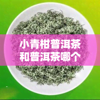 小青柑普洱茶和普洱茶哪个好，小青柑普洱茶 vs 普洱茶：哪种更好？