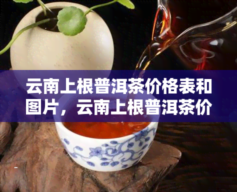 云南上根普洱茶价格表和图片，云南上根普洱茶价格表与高清图片一览