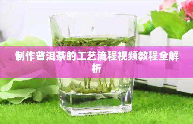 制作普洱茶的工艺流程视频教程全解析