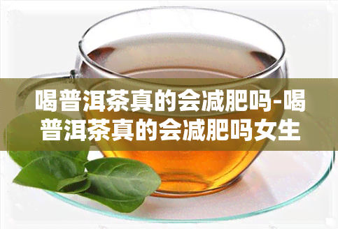 喝普洱茶真的会减肥吗-喝普洱茶真的会减肥吗女生